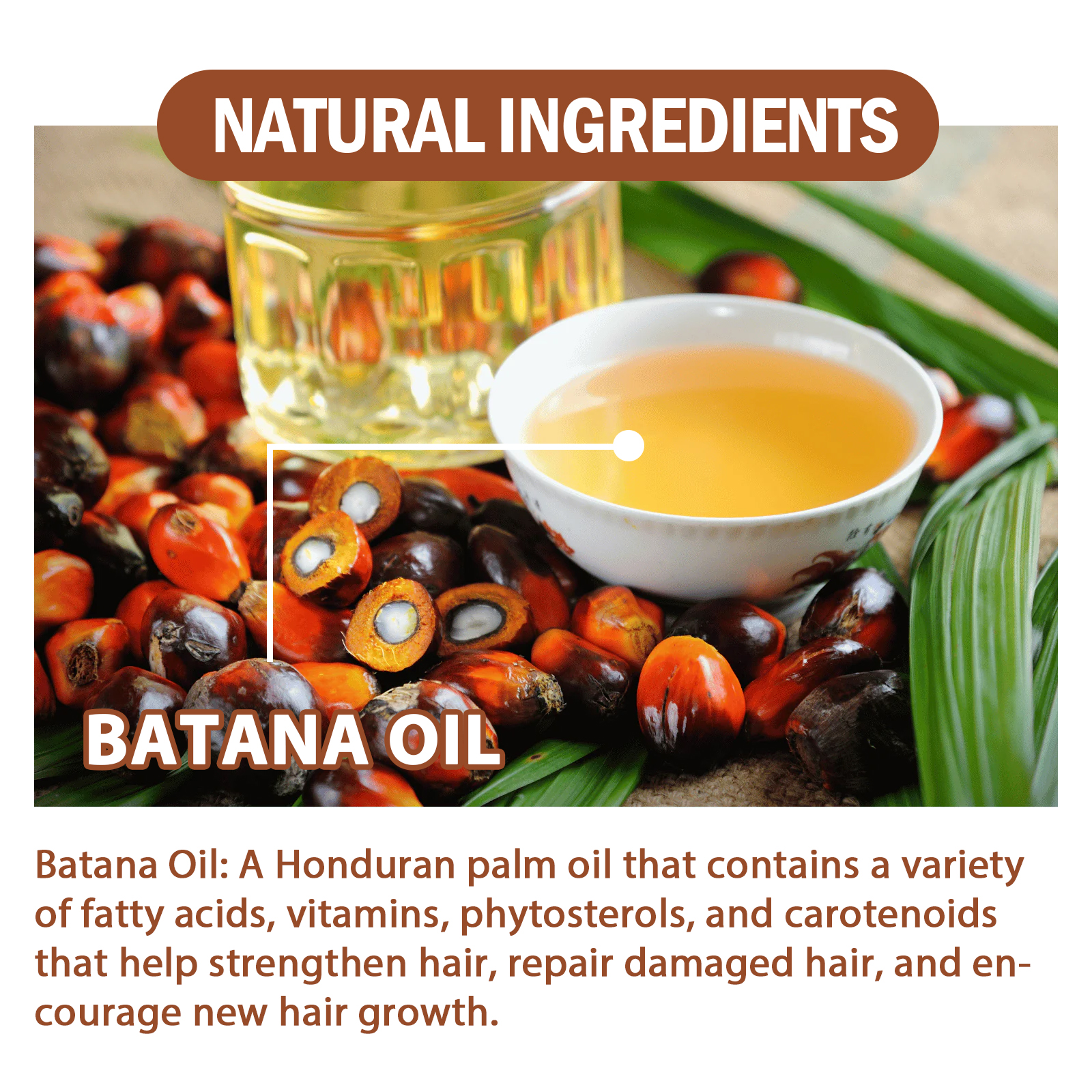 Natural Batana Oil, Batana Oil From Honduras Unrefined